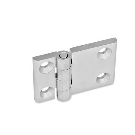 Stainless Steel Hinges GN 237