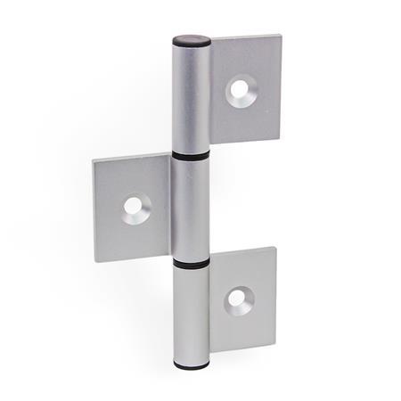 Hinges GN 2295