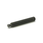 Grub Screws Steel  blackened DIN 6332 thumbnail