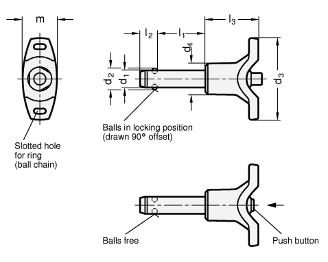 Stainless Steel Ball Lock Pins GN 113.8 sketch