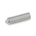 Stainless Steel Spring Plungers GN 616.1 thumbnail