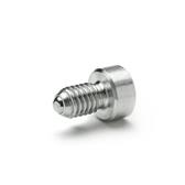 Stainless Steel Spring Plungers GN 815.1 thumbnail