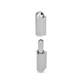 Stainless Steel Hinges GN 128.2 thumbnail