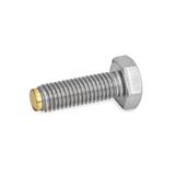 Stainless Steel Hex Head Screws GN 933.5 thumbnail