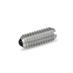 Stainless Steel Spring Plungers GN 615.5 thumbnail