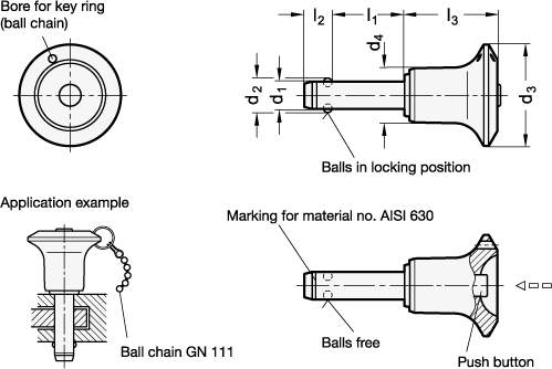 Stainless Steel Ball Lock Pins    GN 113.10 sketch