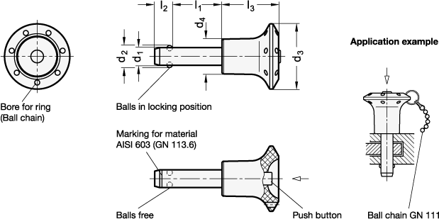 Stainless Steel Ball Lock Pins   GN 113.6 sketch