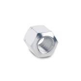 Stainless Steel Hex Nuts DIN 6330 thumbnail