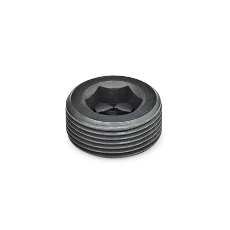 Blanking Plugs Steel  blackened GN 252