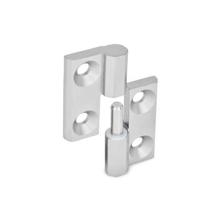 Stainless Steel Hinges GN 337