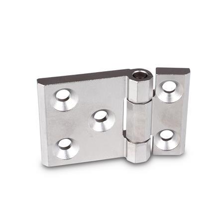 Stainless Steel Heavy Duty Hinges GN 237.3