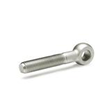 Stainless Steel Swing Bolts GN 1524 thumbnail