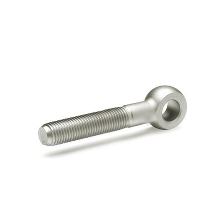 Stainless Steel Swing Bolts GN 1524