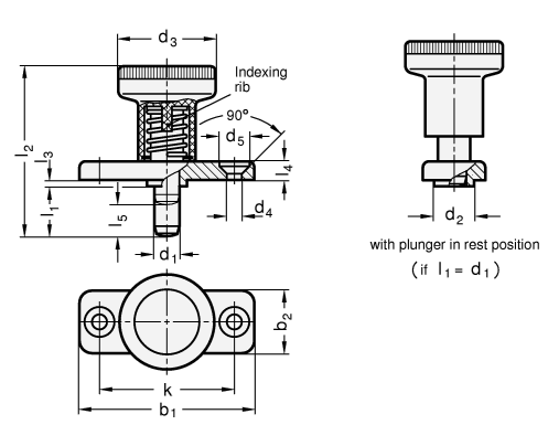 Indexing Plungers with Stainless Steel Plunger Plunger stainless steel GN 608.6 sketch