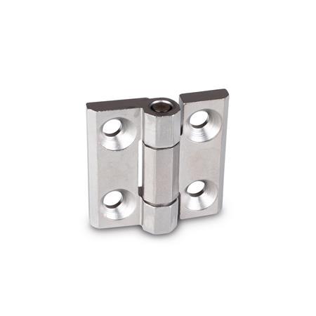 Stainless Steel Heavy Duty Hinges GN 237.3