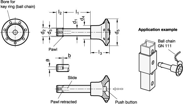 Stainless Steel Locking Pins knob  slide plastic GN 114.3 sketch