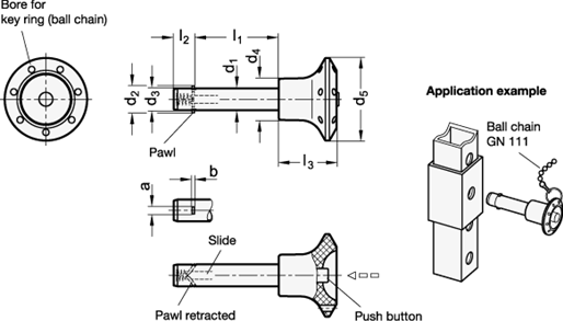 Stainless Steel Locking Pins knob  slide plastic GN 114.3 sketch