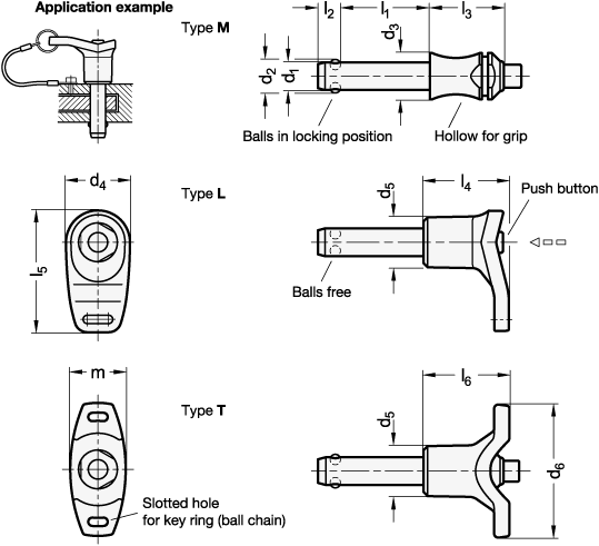 Ball Lock Pins GN 113.30 sketch