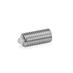 Stainless Steel Spring Plungers GN 616 thumbnail